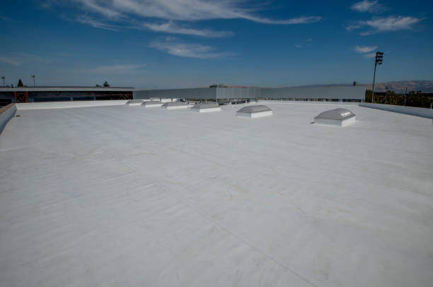 Best Roof Leak Repair  in Waterbury, CT