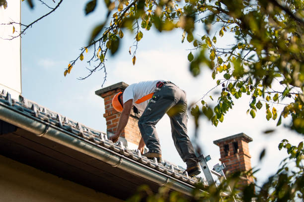 Best Roof Leak Repair  in Waterbury, CT