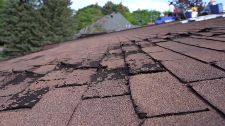 Best Green or Eco-Friendly Roofing Solutions  in Waterbury, CT
