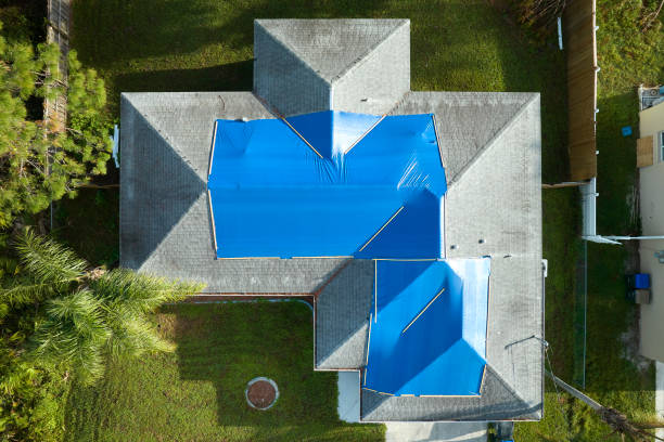 Best Skylight Installation and Repair  in Waterbury, CT